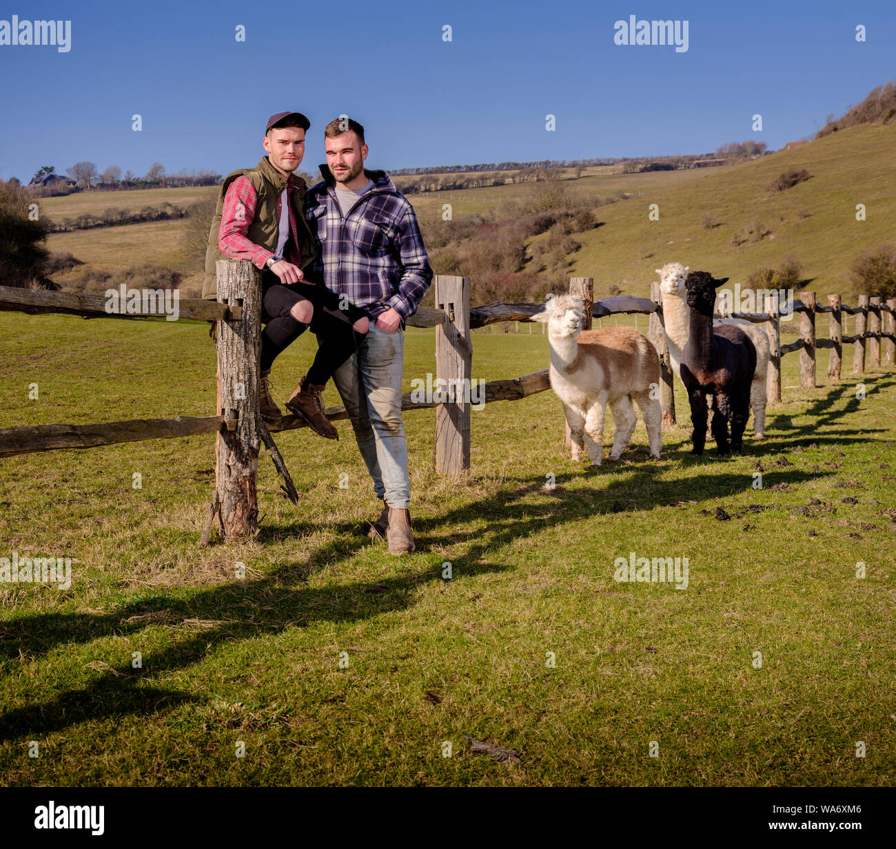 Frank and Harry Savage (green jacket) back home after  appearing in the Channel 4 programme Hunted, Picture taken on their Alfriston farm, East Sussex UK 2019. Stock Photo