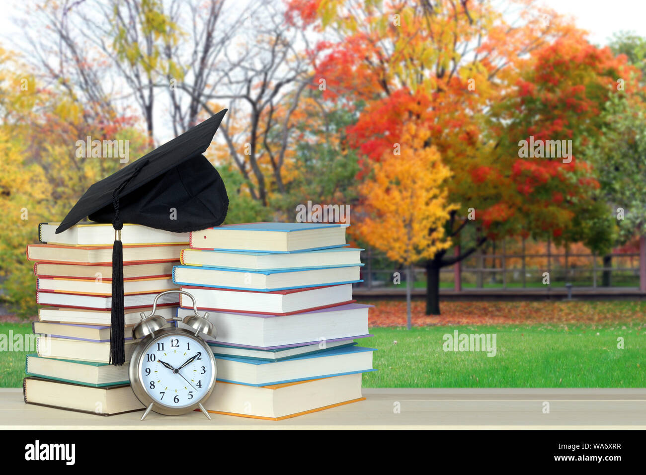 School Yard In Autumn Season With Decoration Of Book And Supplies