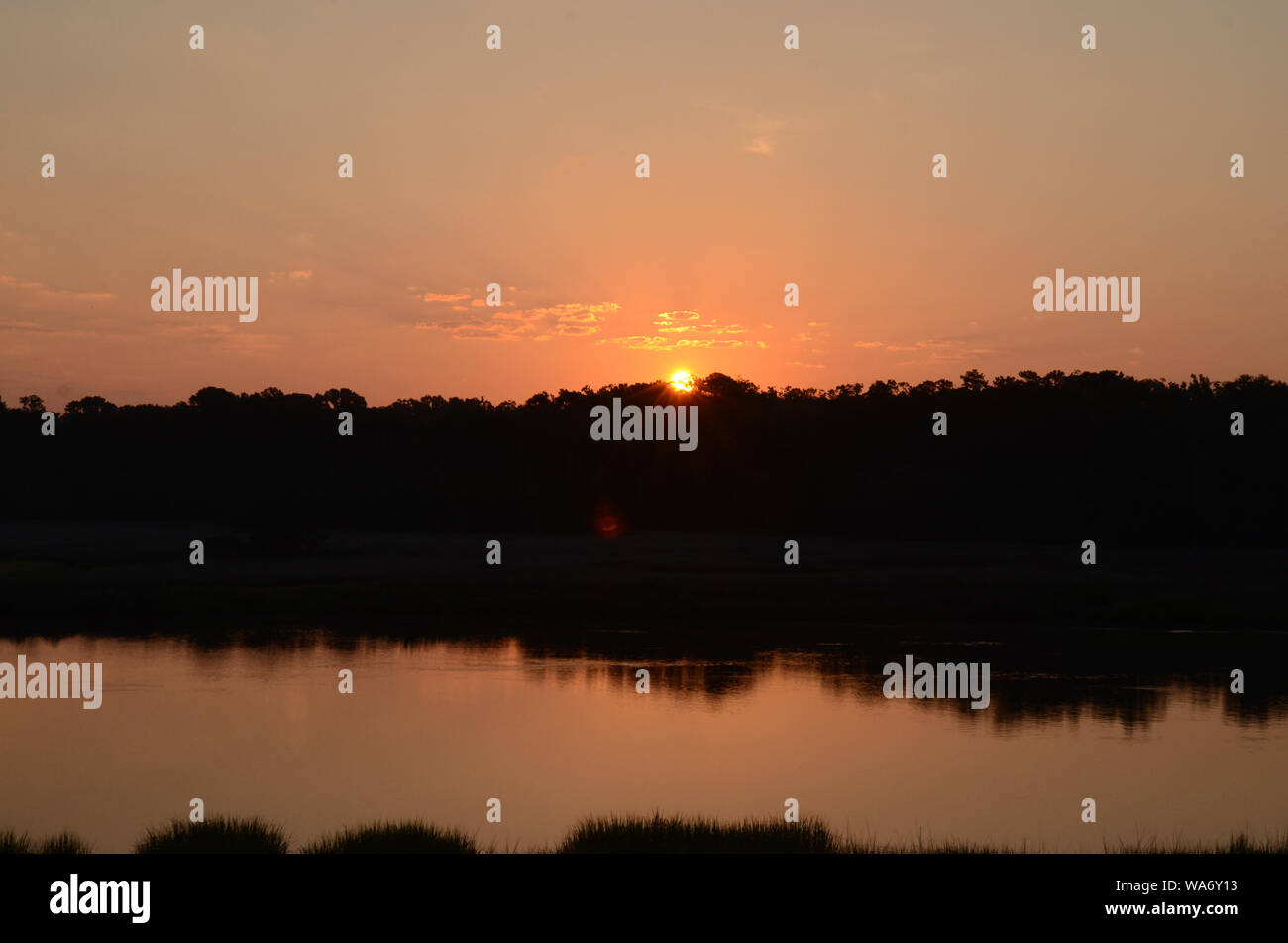 SOUTHERN PEACH SKIES A beautiful sunrise ascends above a forest off
