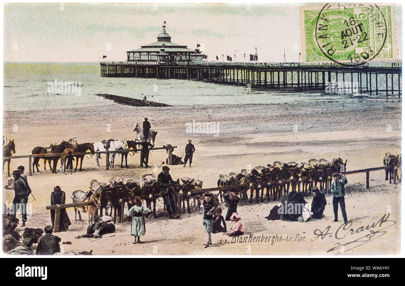 1907 picture postcard of donkeys, horses and a pier on Blankenberghe beach, Belgium. Stock Photo
