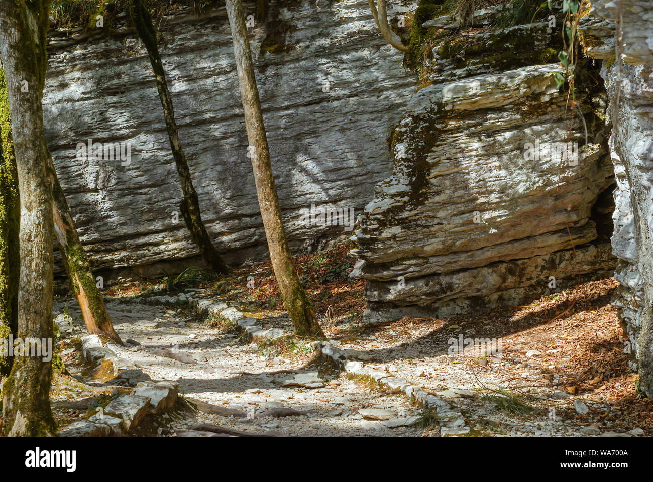 path in a beautiful canyon with inclined layered limestone rocks Stock ...