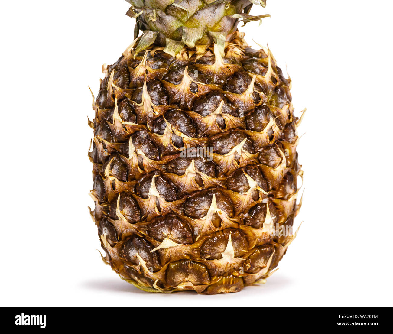 ripe pineapple close up on white background Stock Photo