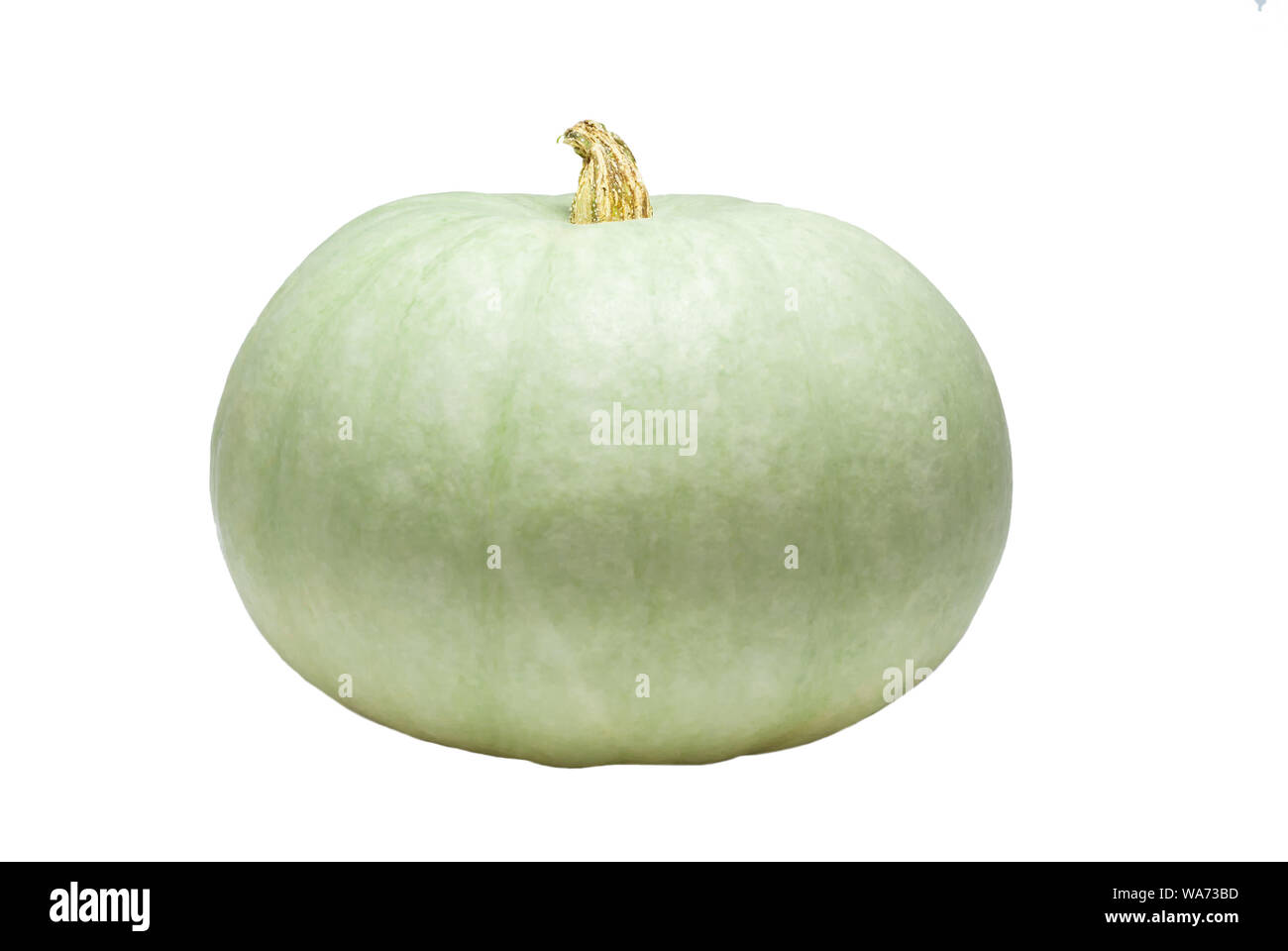pale green ripe pumpkin isolated on white background, side view Stock ...