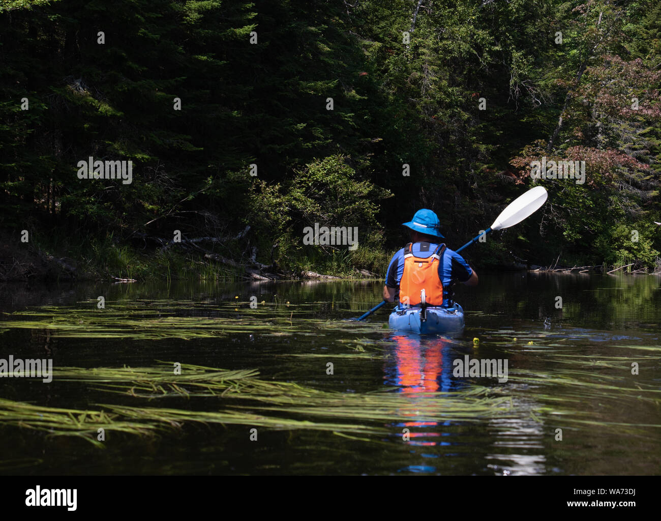 A man getting a view from a kayak on a morning paddle Stock Photo