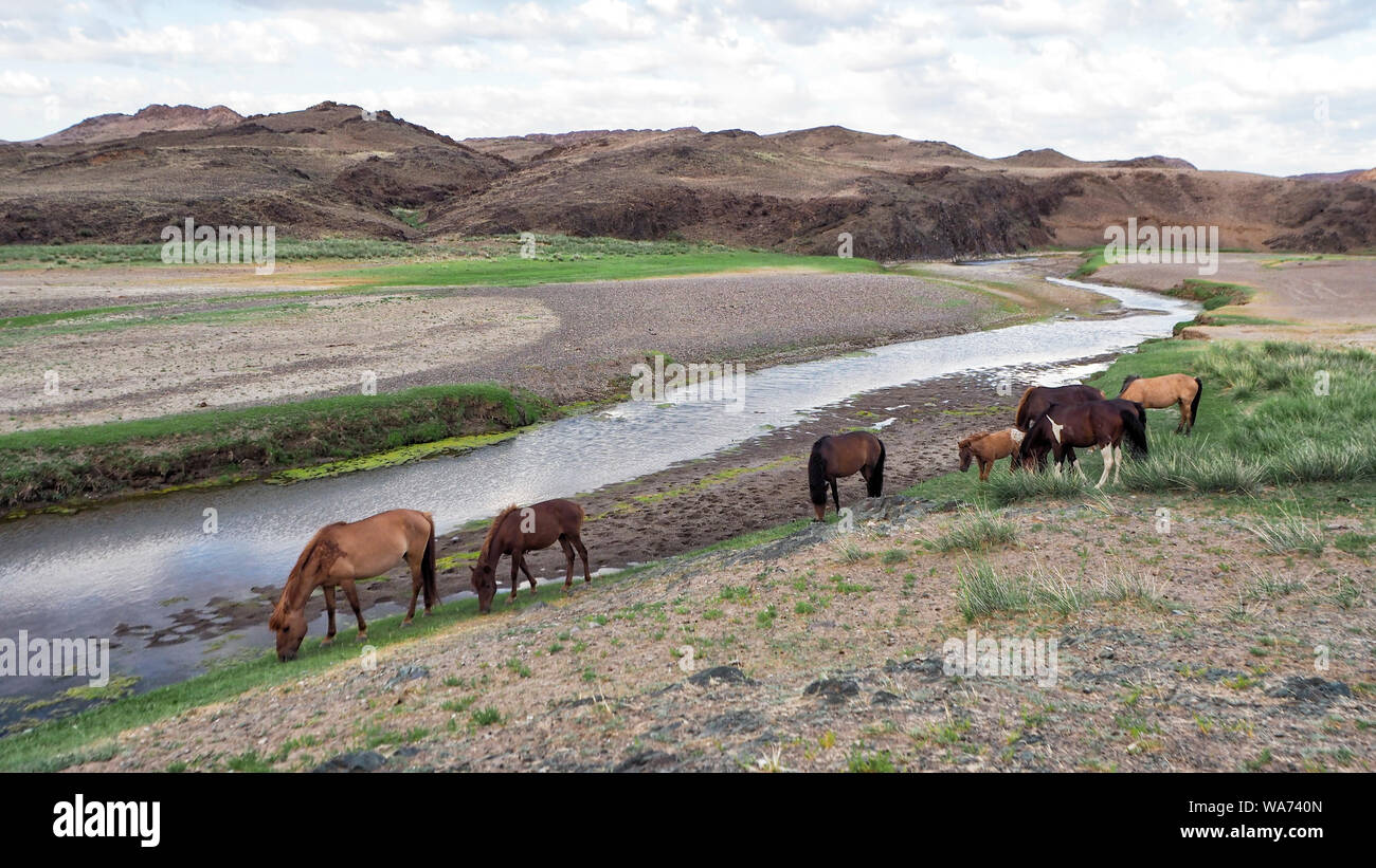 Orkhon Valley at the Central Mongolia Stock Photo - Alamy