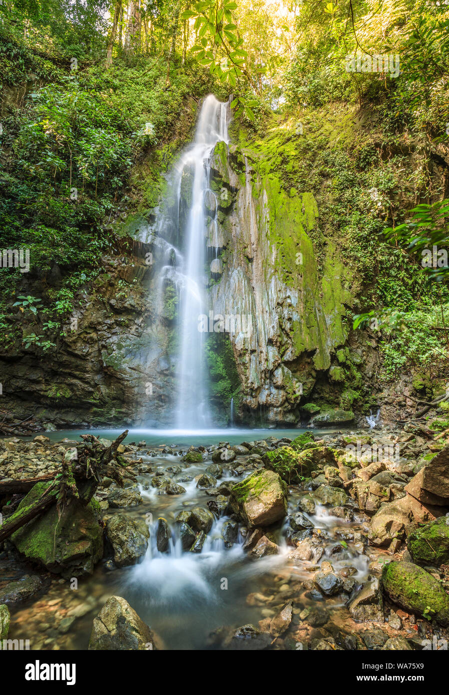 La catarata de la llorona waterfall in Corcovado National Park in Costa Rica Stock Photo