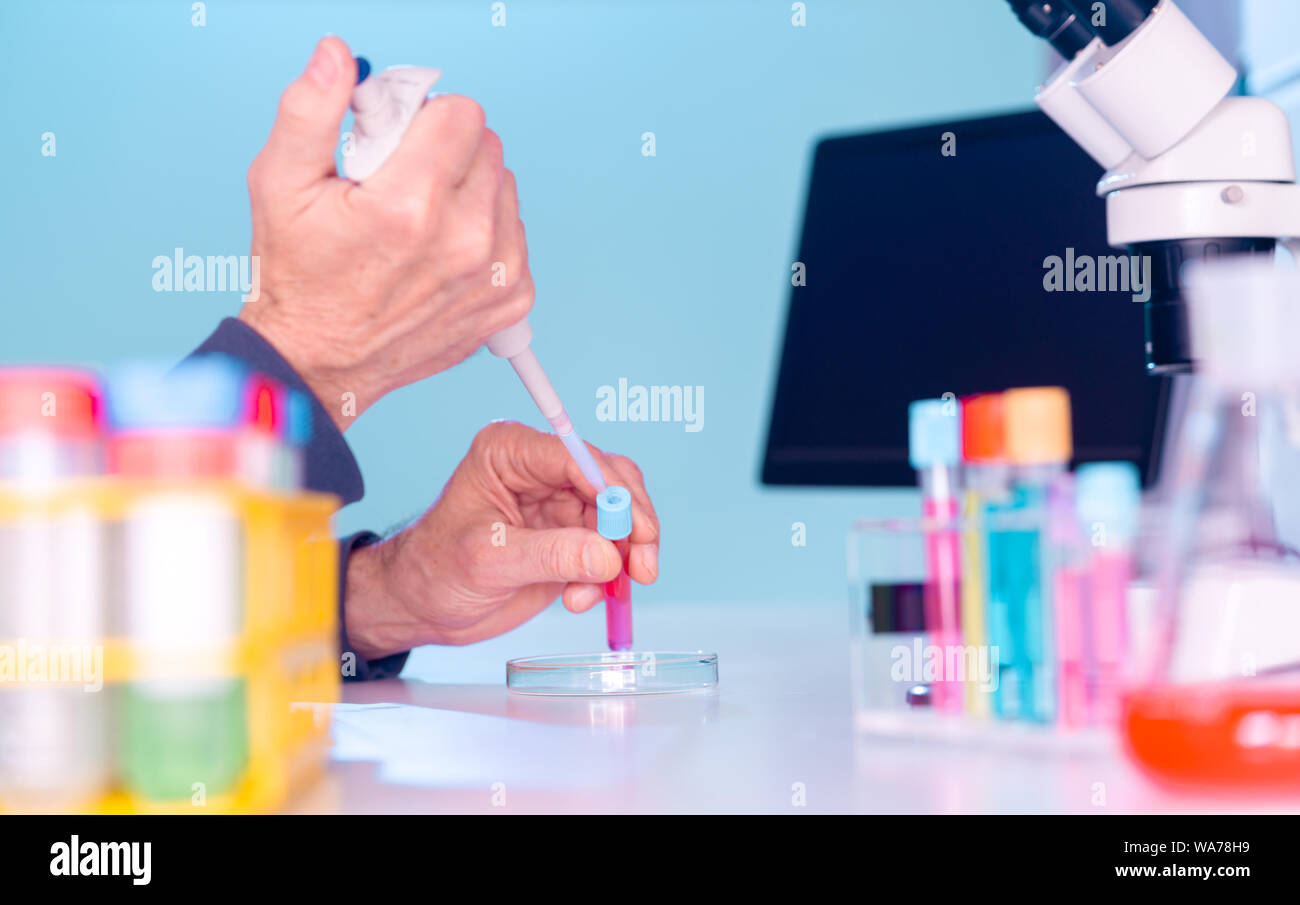 scientific experiment in microbiology laboratory. pipetting