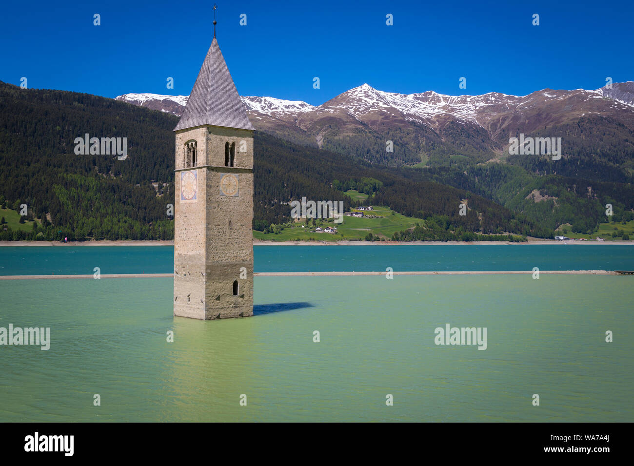 Kirchturm von Altgraun im Reschensee Stock Photo