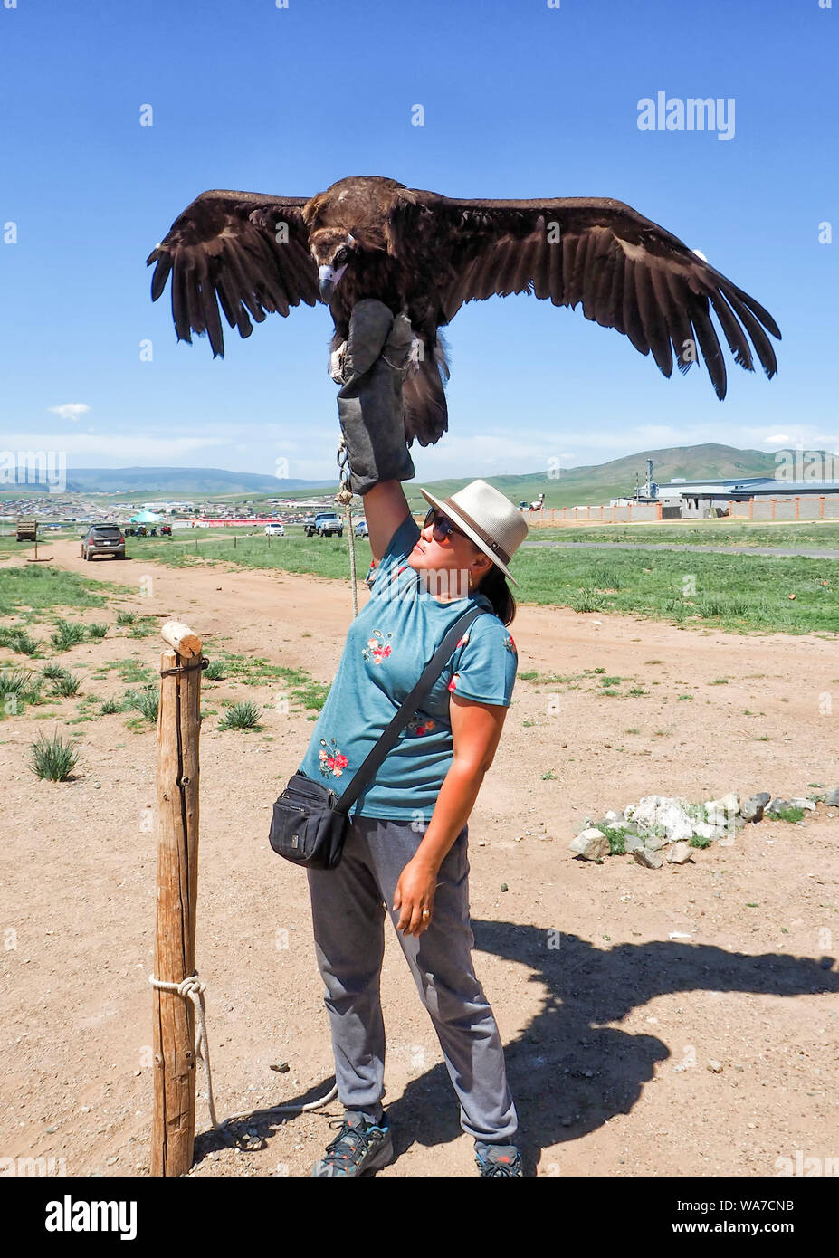 Eurasian Black Vulture Next To Human