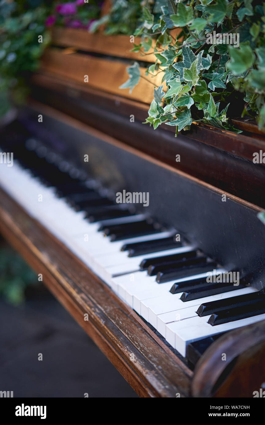 A vintage piano with black and white keys decorated with ivy and other flowers. Portrait format. Stock Photo