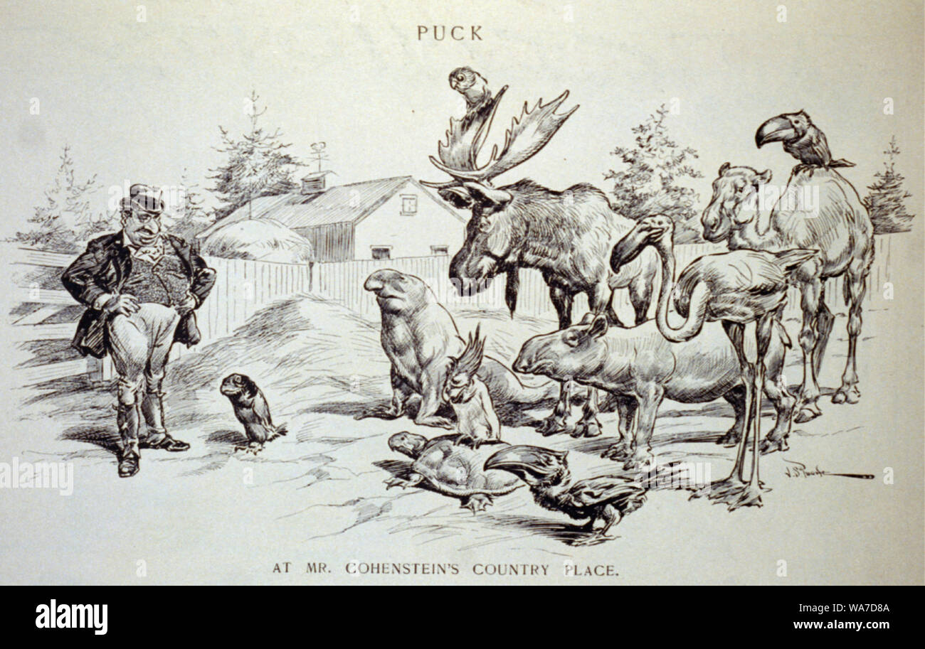 country camo air max 97