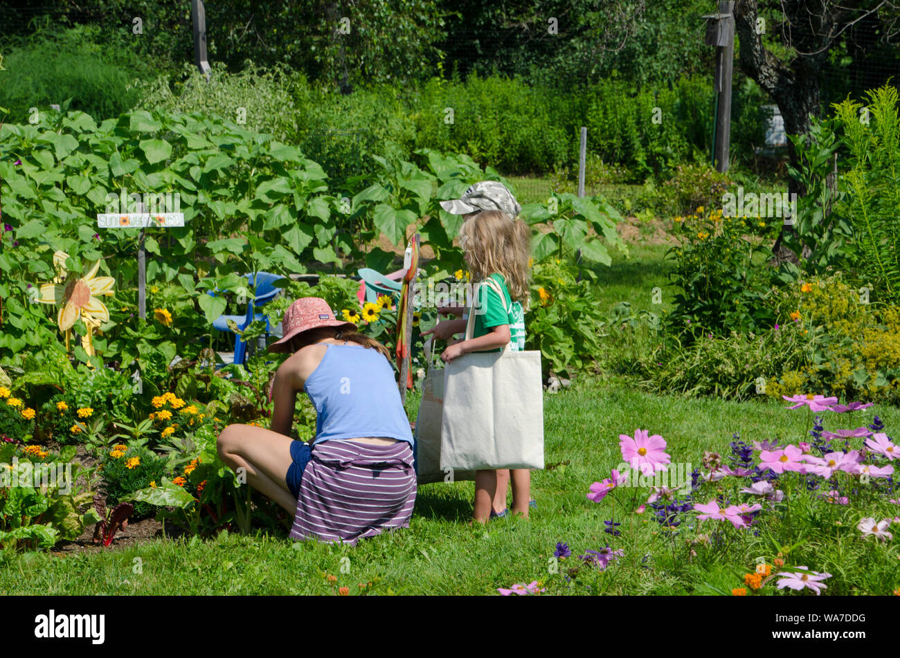 Camp counselor with girl at garden camp, Community garden, Yarmouth Maine, USA Stock Photo
