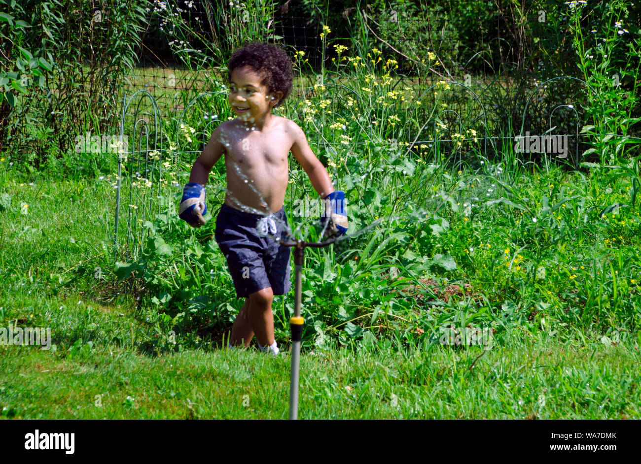 Boy playing in sprinkler in summer garden, Yarmouth community garden, Maine, USA Stock Photo