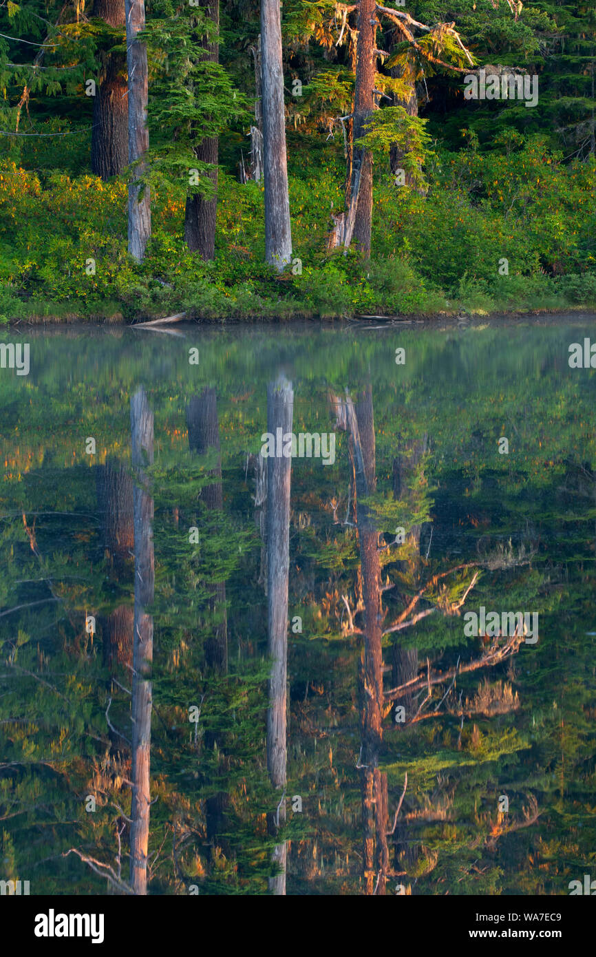 Elkhorn Lake, Opal Creek Scenic Recreation Area, Willamette National Forest, Oregon Stock Photo