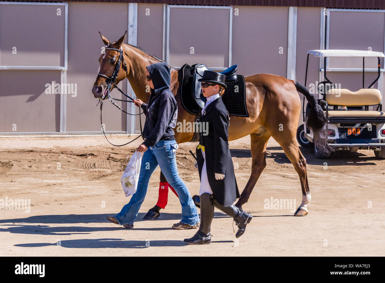 Scottsdale Arabian Horse Show Walking to Performance Stock Photo Alamy