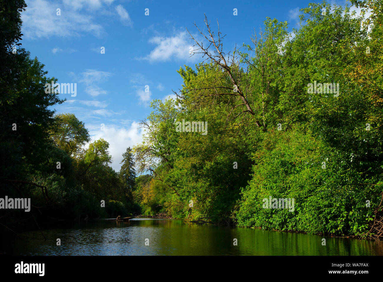Luckiamute River, Luckiamute Landing State Park, Oregon Stock Photo Alamy