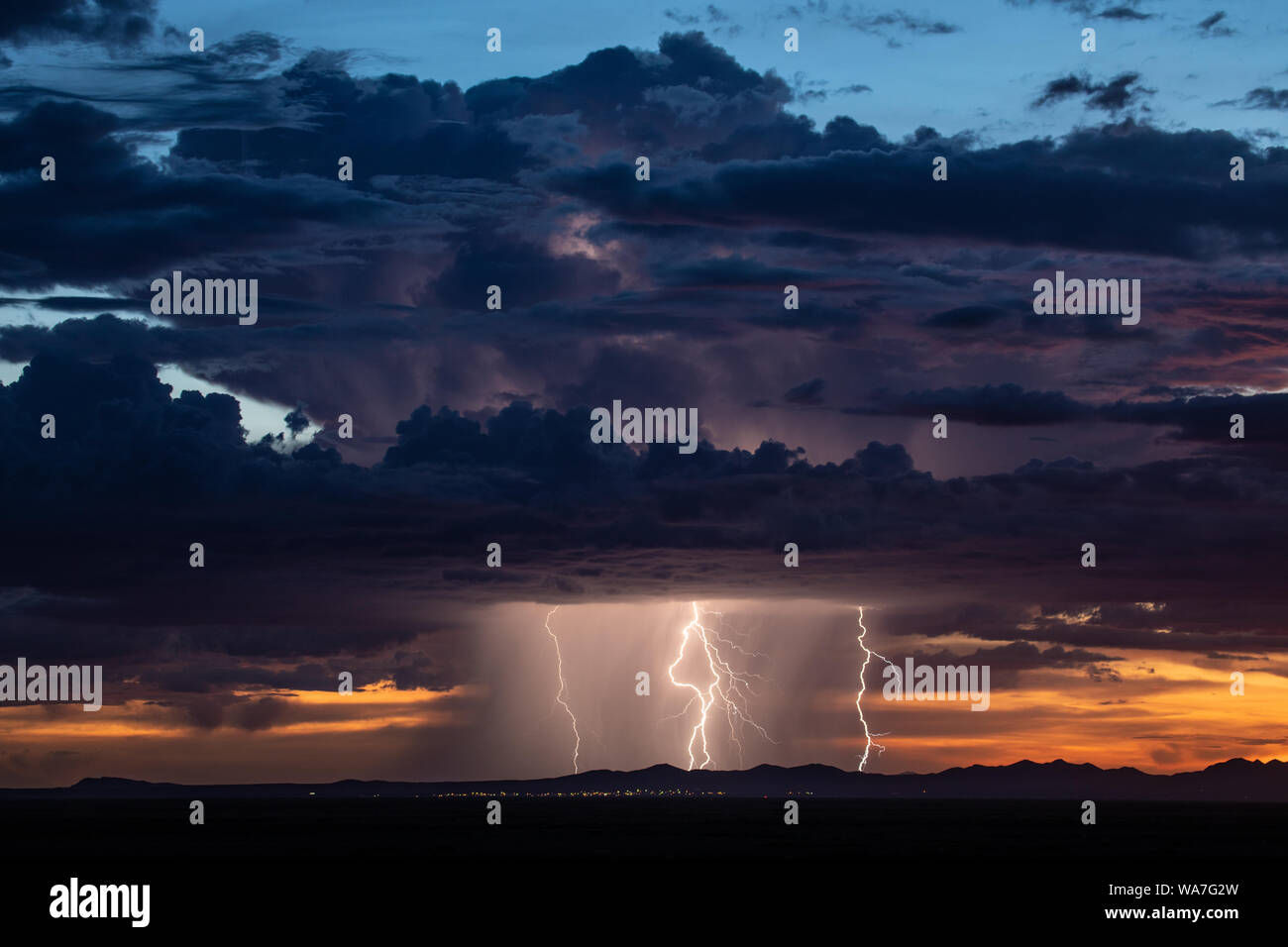 Lightning Bolts and Rain fall from a Summer Monsoon Thunderstorm at Sunset near Columbus, New Mexico, USA Stock Photo