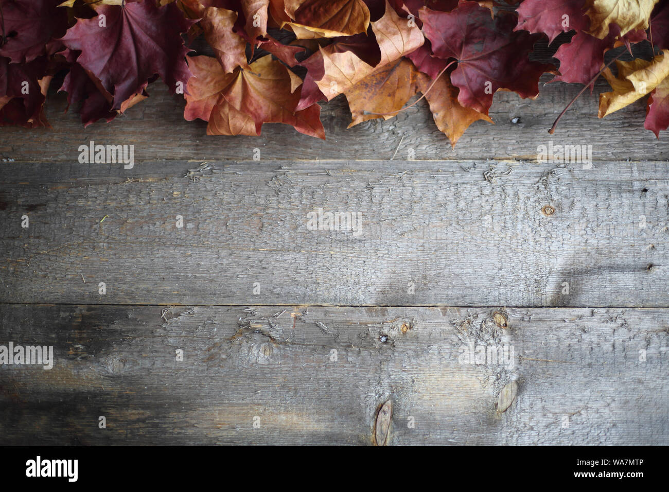 Autumn maple leaves frame over wooden background with copy space Stock ...