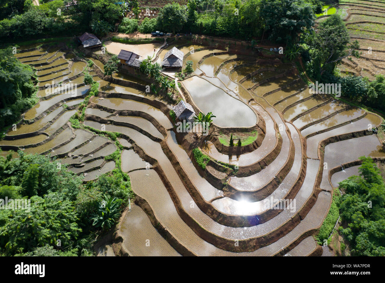 Aerial drone view of terraced rice fields in Thailand Stock Photo - Alamy