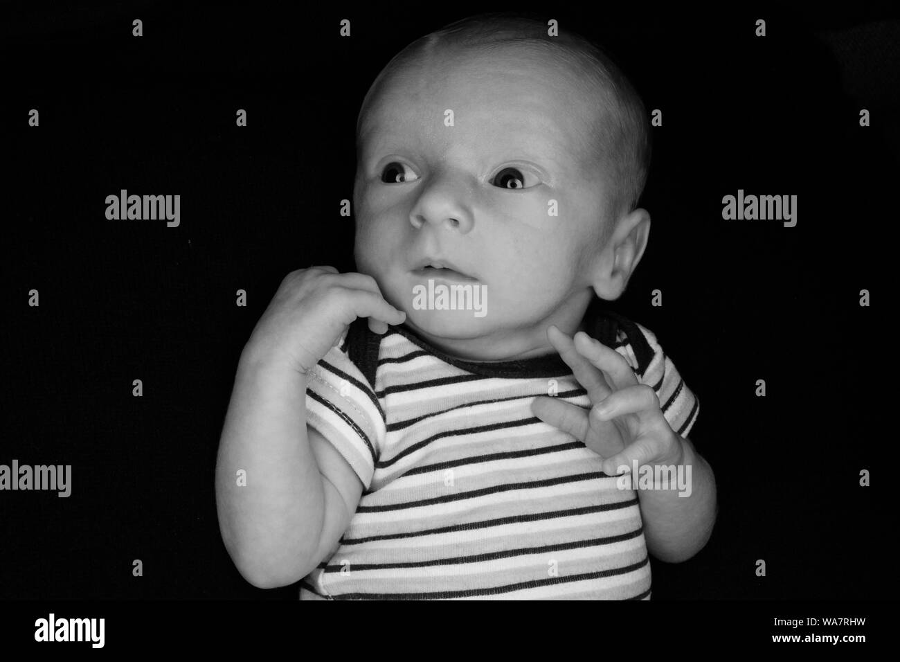 A 3 Week Old Baby Poses on a Black Background. Perfect for Memes with Copy Space. Stock Photo