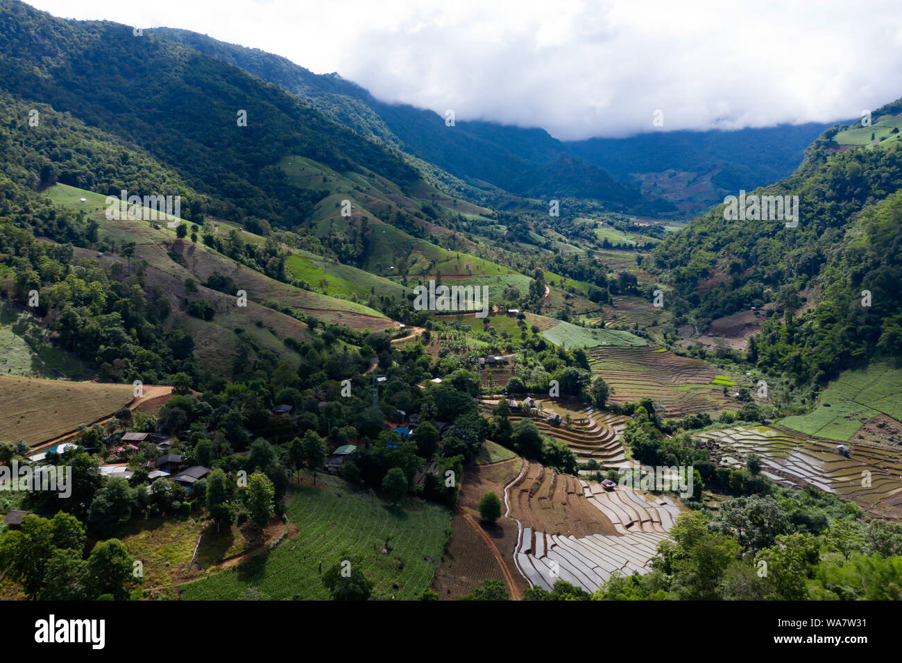 Aerial drone view of terraced rice fields in Thailand Stock Photo - Alamy