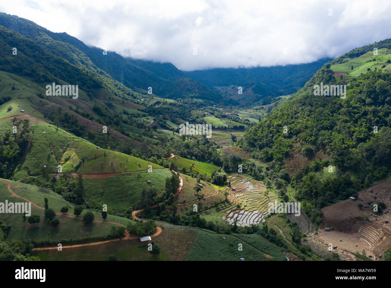 Aerial drone view of terraced rice fields in Thailand Stock Photo - Alamy
