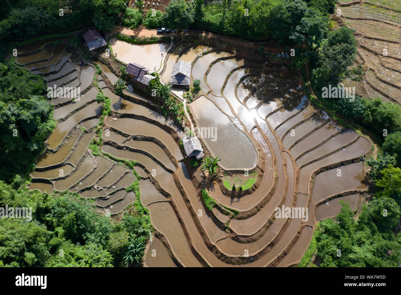 Aerial drone view of terraced rice fields in Thailand Stock Photo - Alamy