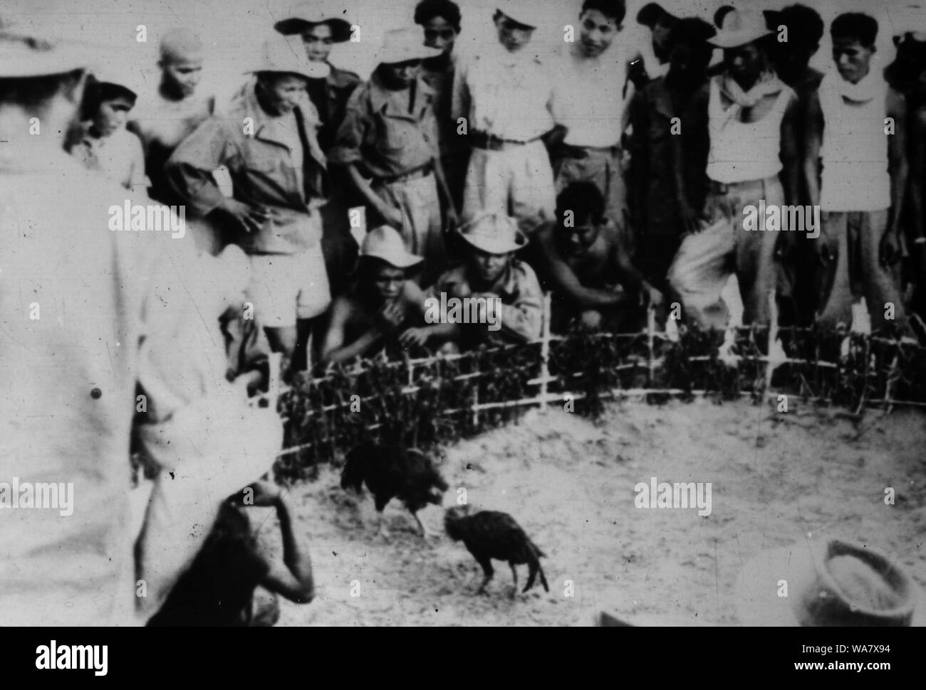AJAXNETPHOTO. 1953-1957 (APPROX). INDO CHINA. VIETNAM. (IN-COUNTRY LOCATION UNKNOWN.) - GROUP WATCHING COCKFIGHTING.   PHOTO:JEAN CORRE/AJAXREFRX7 191508 230 Stock Photo