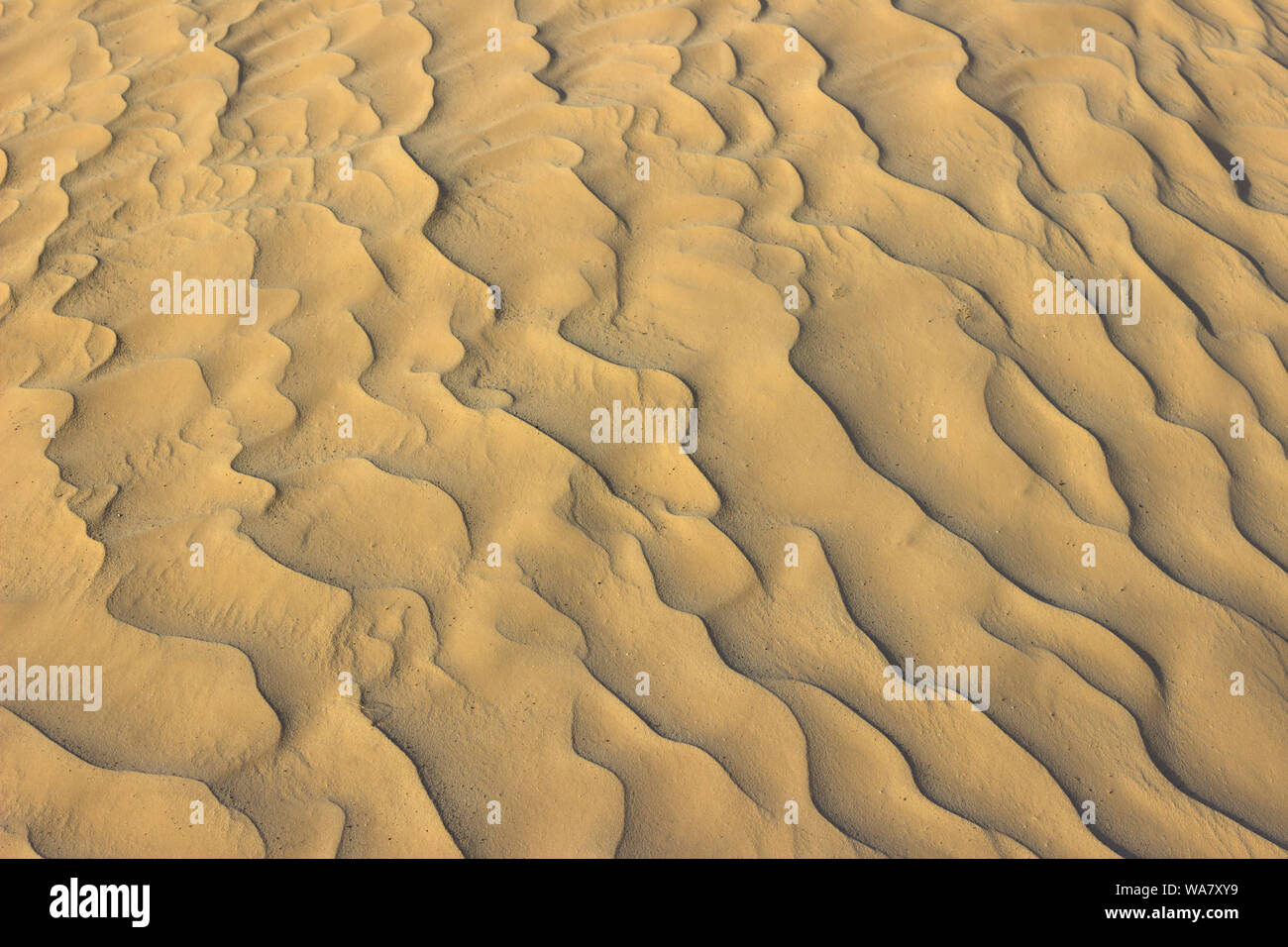 Amazingly fine particles of Sahara desert golden sand creating a