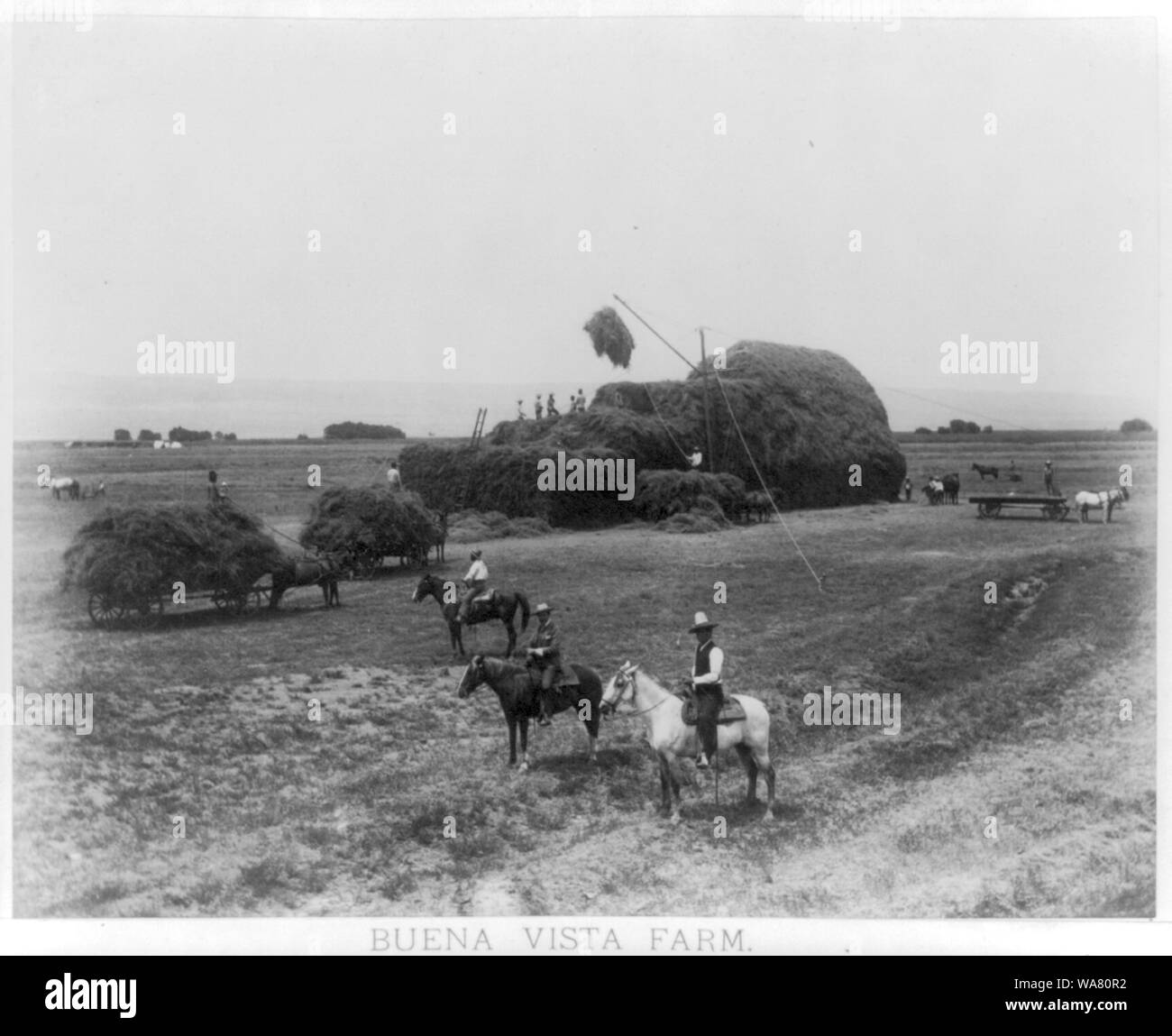 Buena Vista Farm Stock Photo Alamy