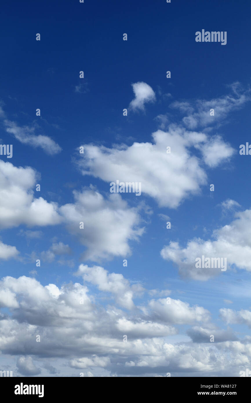 White, cumulus, cloud, clouds, blue sky, portrait shape, vertical Stock Photo