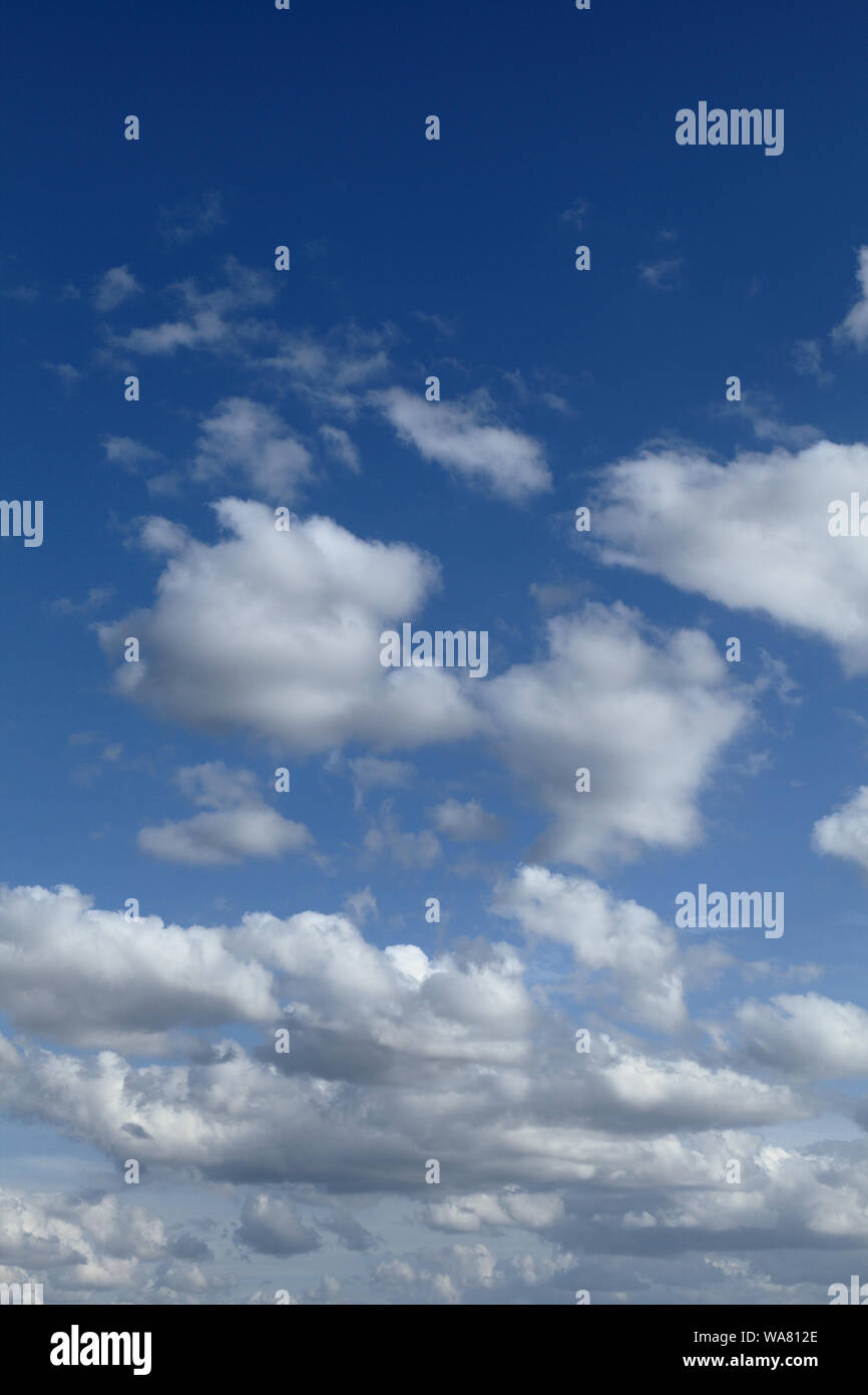 White, cumulus, cloud, clouds, blue sky, portrait shape, vertical Stock Photo