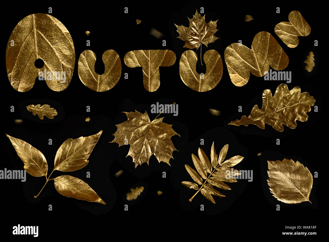 autumn composition of different Golden leaves and letters on a black ...