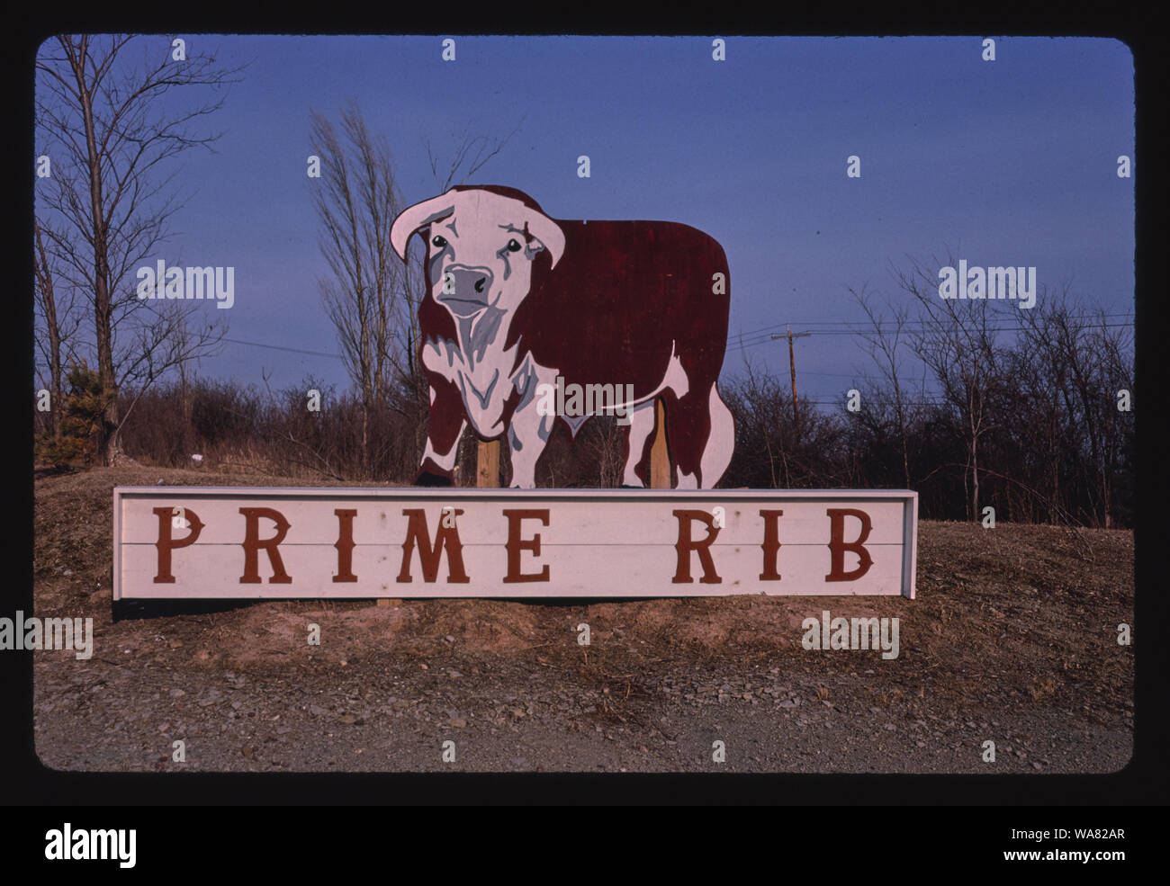 Bull sign, Prime Rib, Chittenango, New York Stock Photo - Alamy