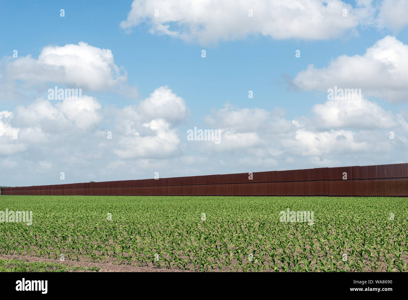 By design there is a gap in the United States-Mexican border-security fence. It allows U.S. travelers to visit the Rabb Plantation, part of the Sabal Palm Sanctuary along the Rio Grande, Brownsville, Texas Stock Photo