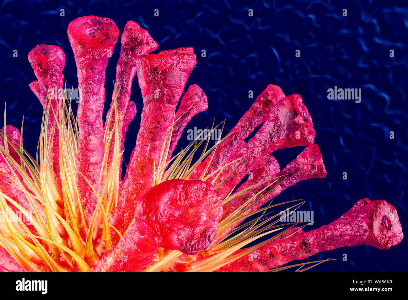 3D rendered Illustration of a generic Virus isolated on black Stock ...