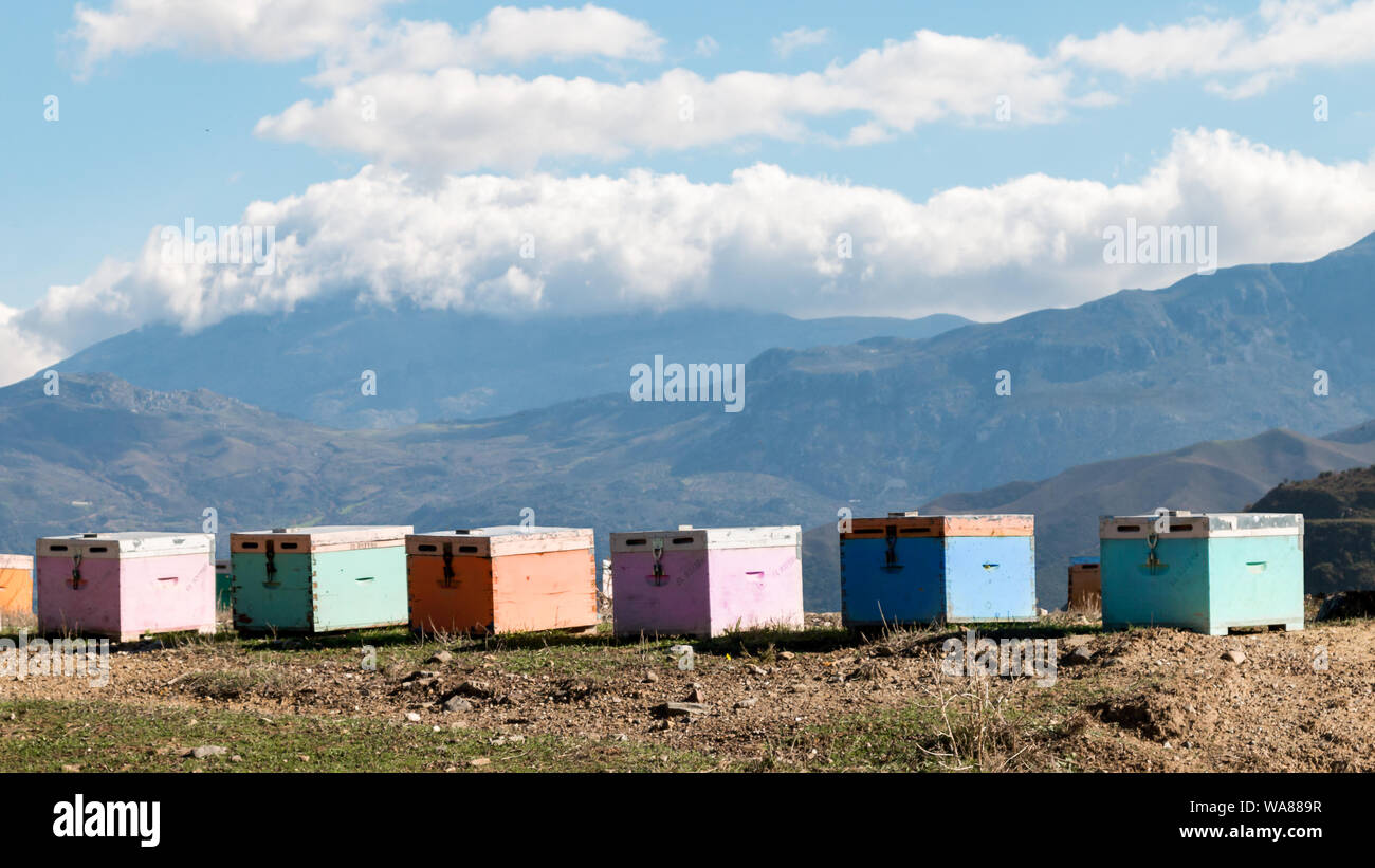 Bee box in the mountains of Crete Stock Photo