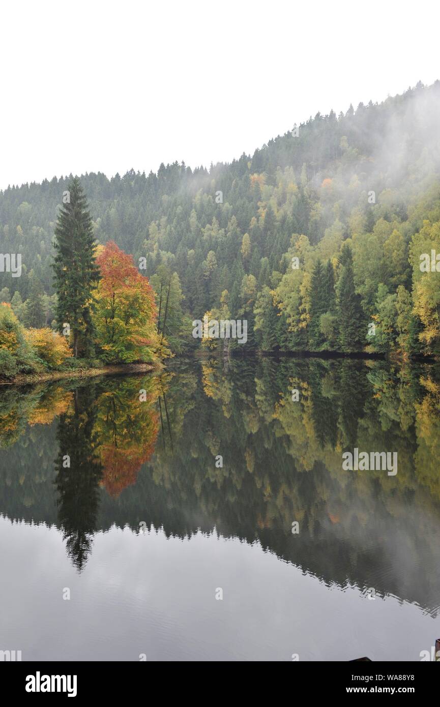 Misty Autumn landscape in Oderteich,Okertal Harz.Herbst im Oderteich,Talsperre im Oberharz. Stock Photo