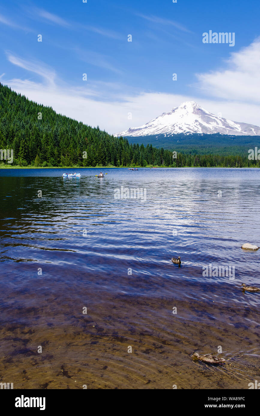 View of Mt Hood from Trillium Lake in Mt Hood National Forest.  Mt Hood Oregon Stock Photo