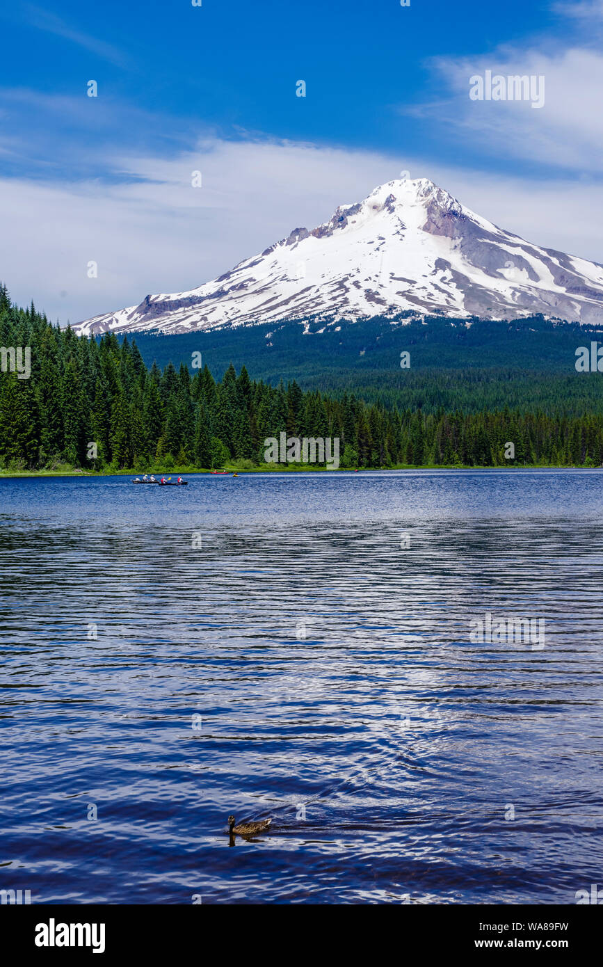 Mt hood national forest hi-res stock photography and images - Alamy