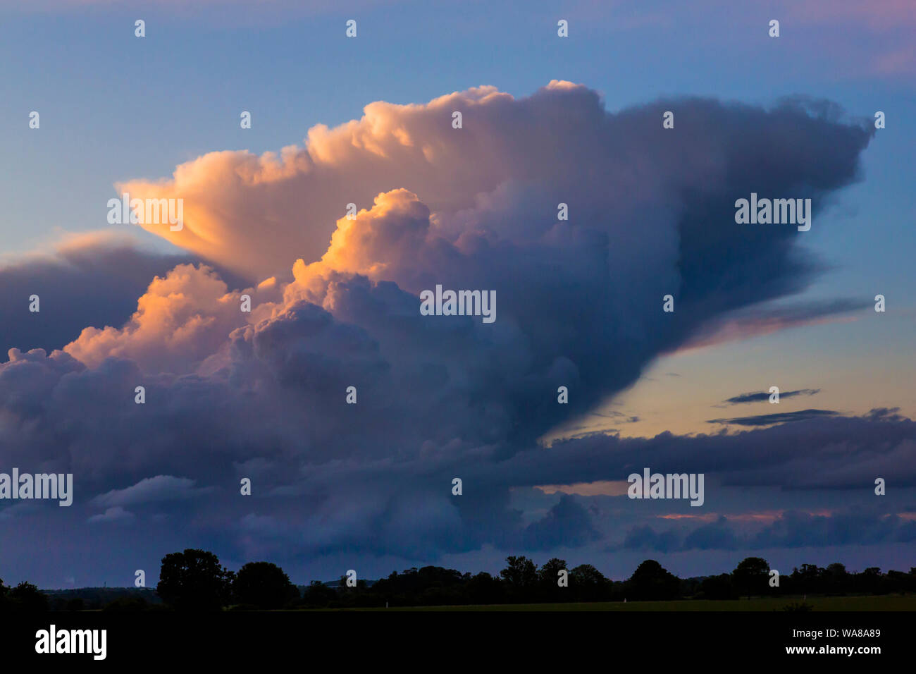 rising Cumulonimbus clouds in Suffolk, UK Stock Photo