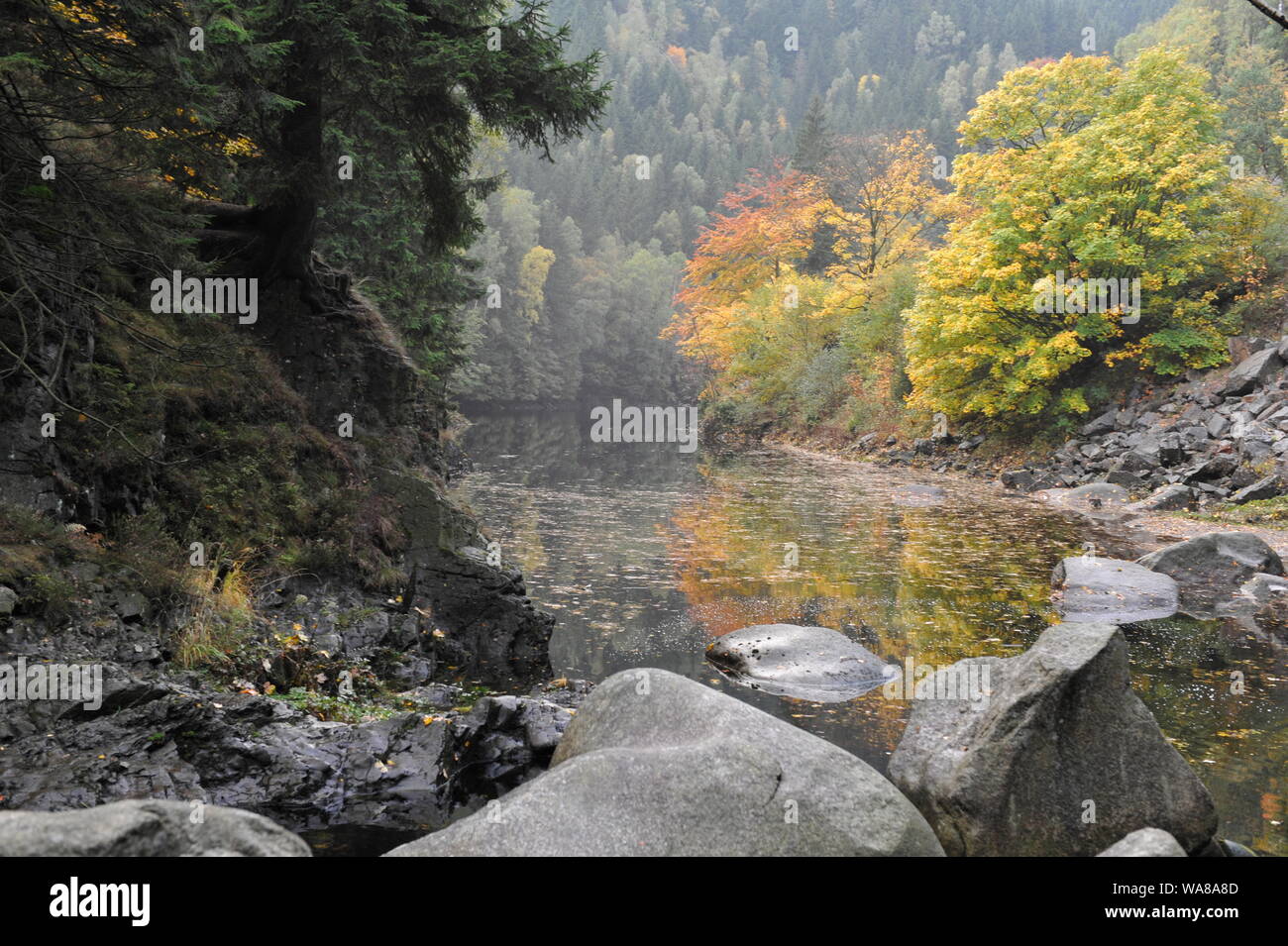 Misty Autumn landscape in Oderteich,Okertal Harz.Herbst im Oderteich