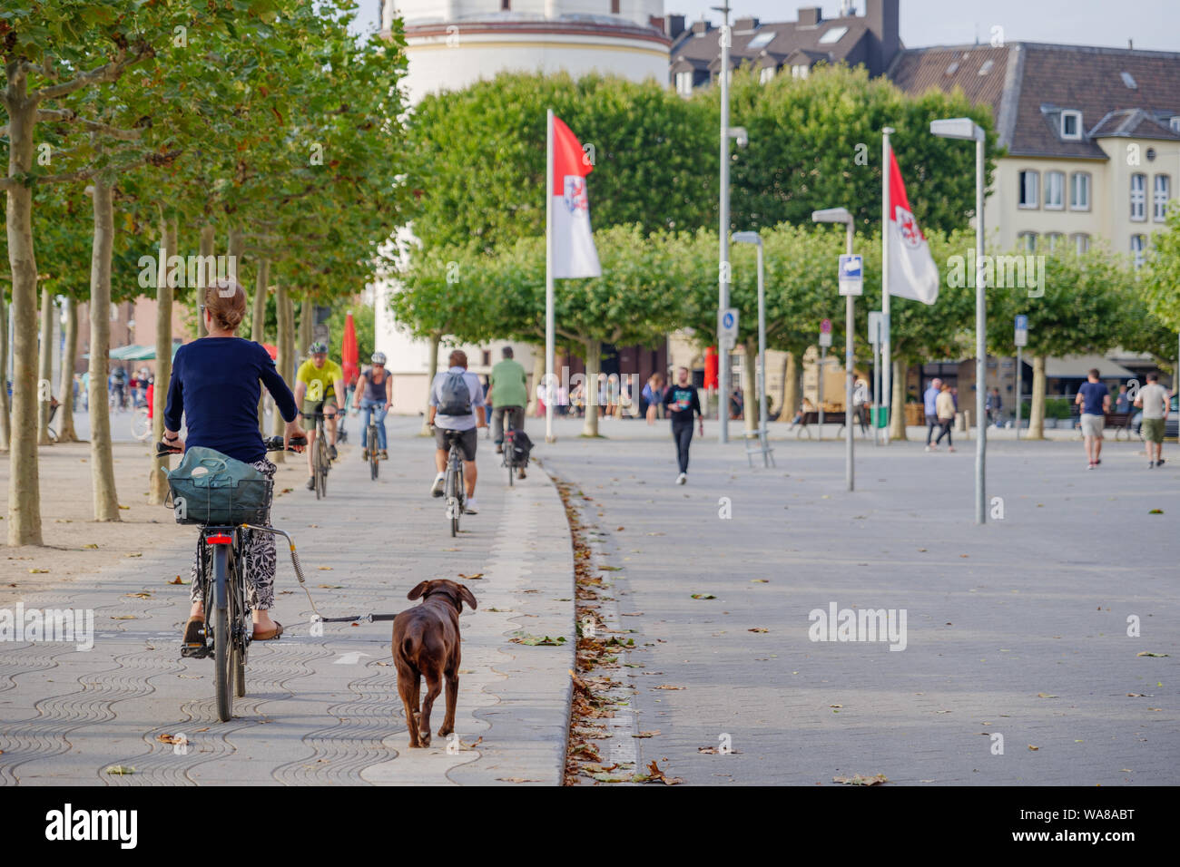 Dog Street Germany High Resolution Stock Photography and Images - Alamy