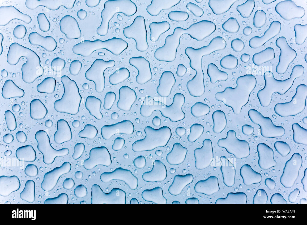 water droplets on glass Stock Photo