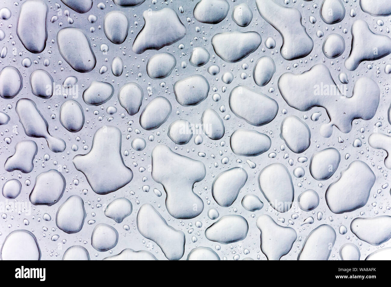 water droplets on glass Stock Photo