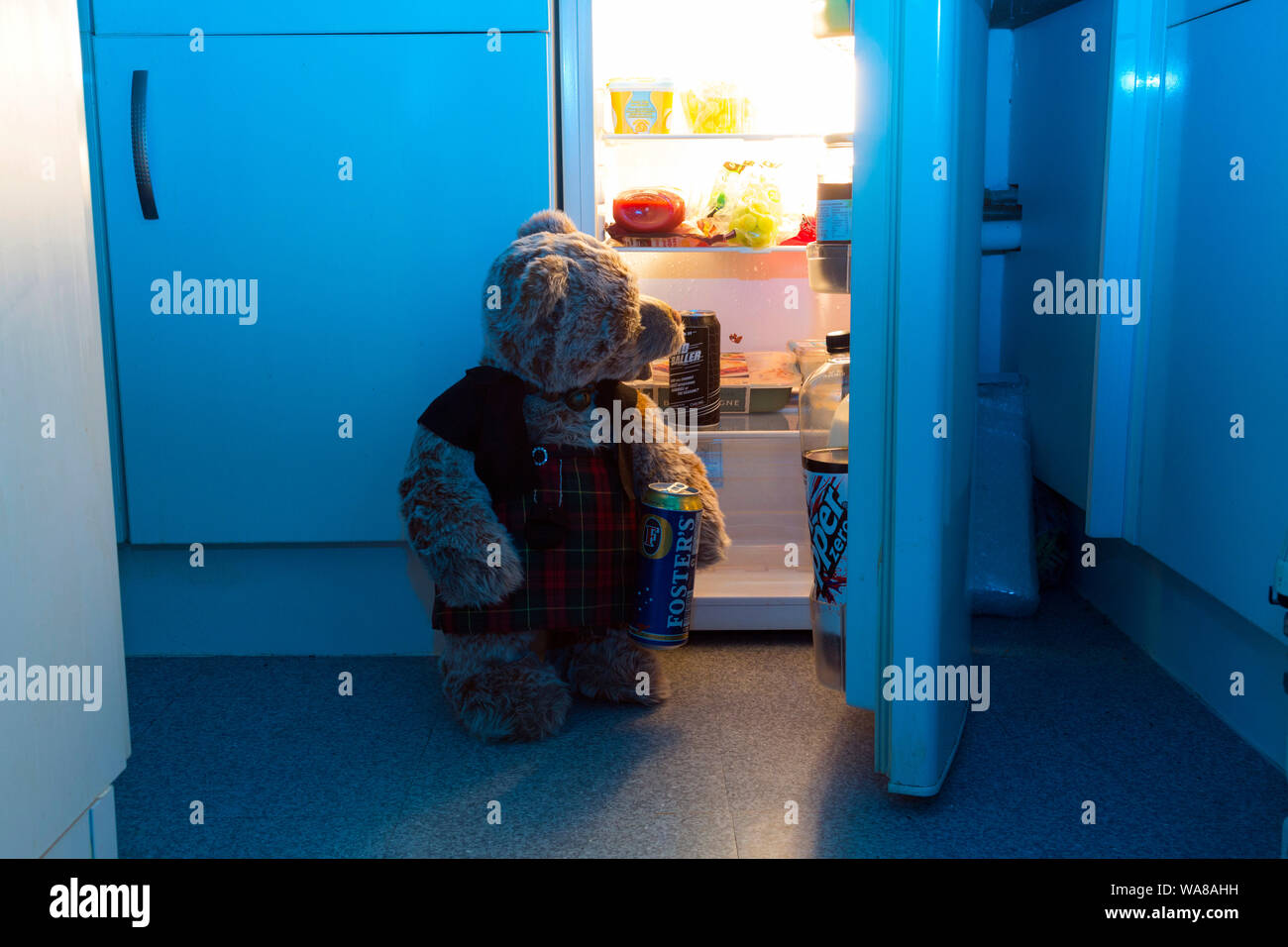Teddy bear raiding the fridge at night Stock Photo Alamy