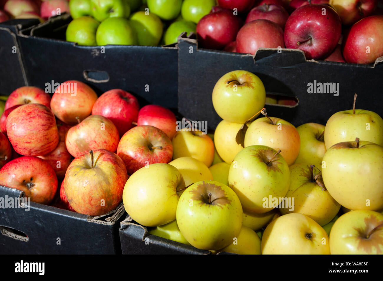 Organic red, green and yellow varieties of apples including Granny Smith, Golden Delicious and Jonathan for sale at a farmers market in Victoria Australia Stock Photo