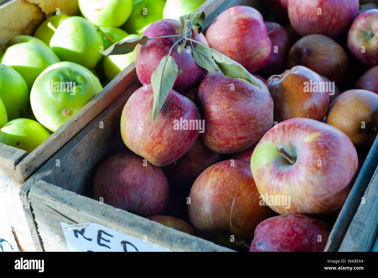 Organic apples for sale at a farmers market, Red Delicious and green Granny Smith apples are both popular varieties in Australia Stock Photo