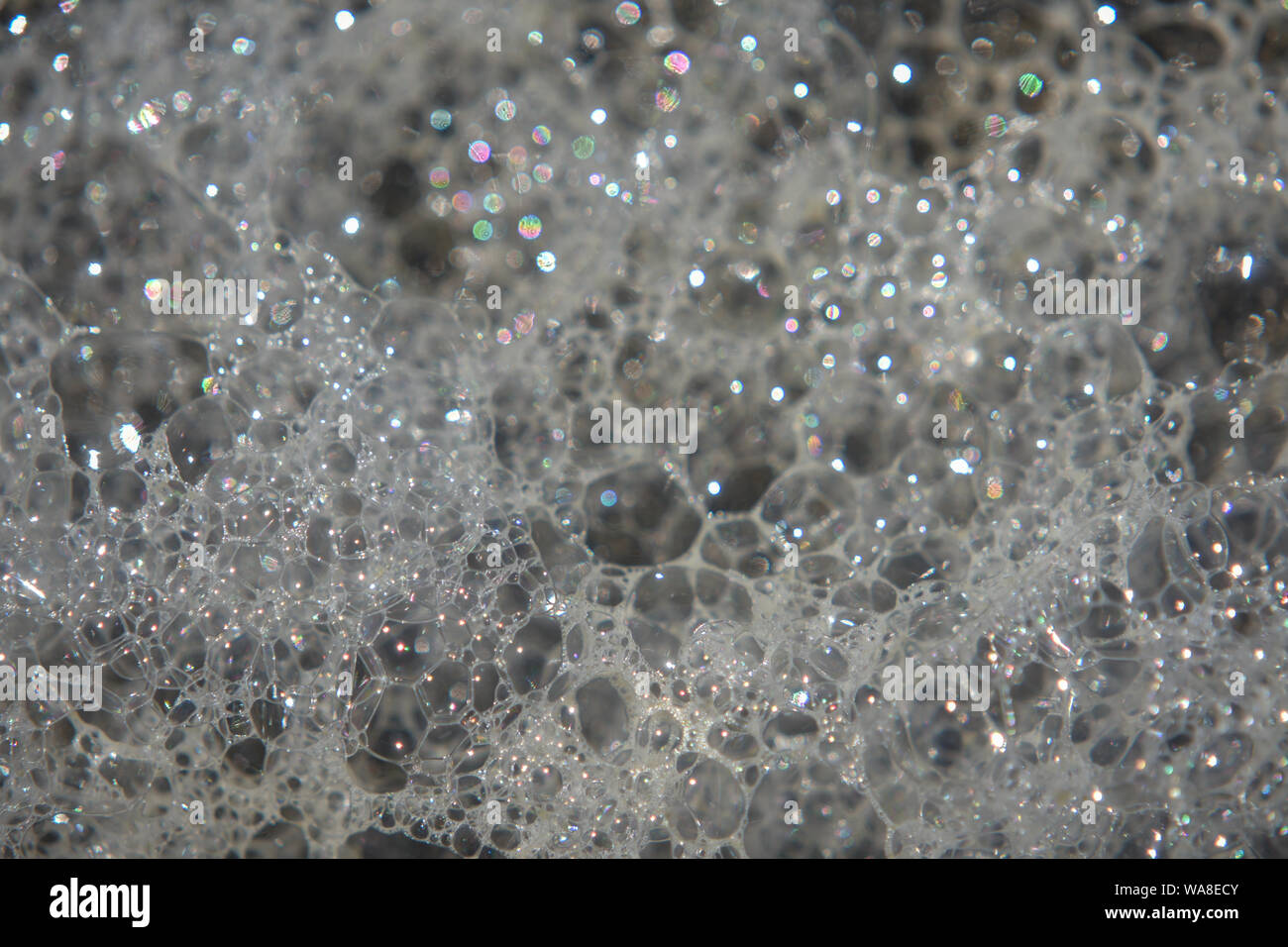 Bubbles in foamy water reflecting light. Stock Photo