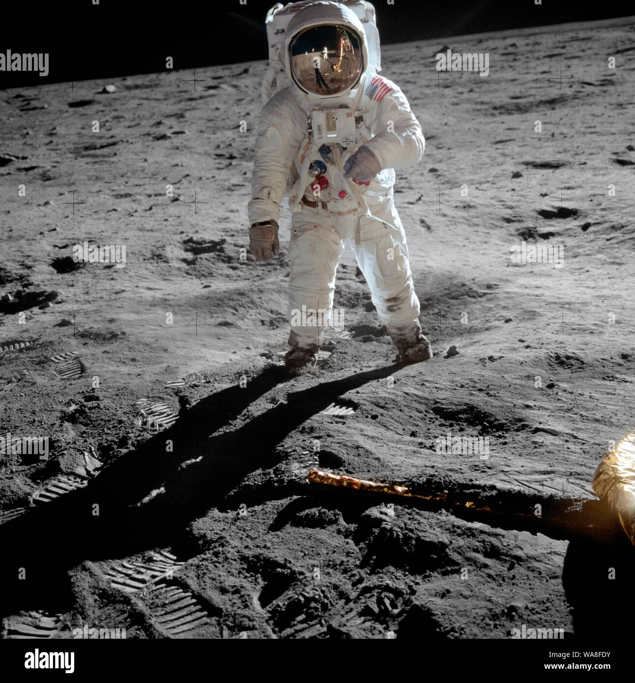 Astronaut Buzz Aldrin on the moon - Astronaut Buzz Aldrin, lunar module pilot, stands on the surface of the moon near the leg of the lunar module, Eagle, during the Apollo 11 moonwalk. Astronaut Neil Armstrong, mission commander, took this photograph with a 70mm lunar surface camera. While Armstrong and Aldrin descended in the lunar module to explore the Sea of Tranquility, astronaut Michael Collins, command module pilot, remained in lunar orbit with the Command and Service Module, Columbia. July 1969 Stock Photo